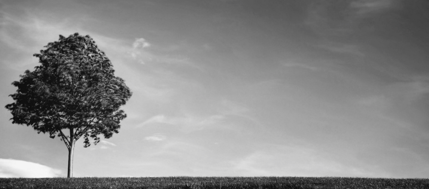 Historic will document